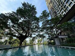Irwell Hill Residences (D9), Apartment #458494841